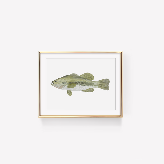 Digital Download Bass Fish Art Print