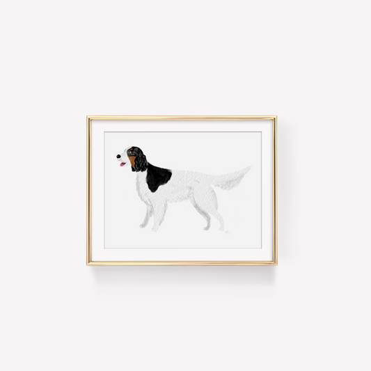 Tri-Colored English Setter Art Print