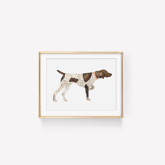 German Shorthaired Pointer Art Print