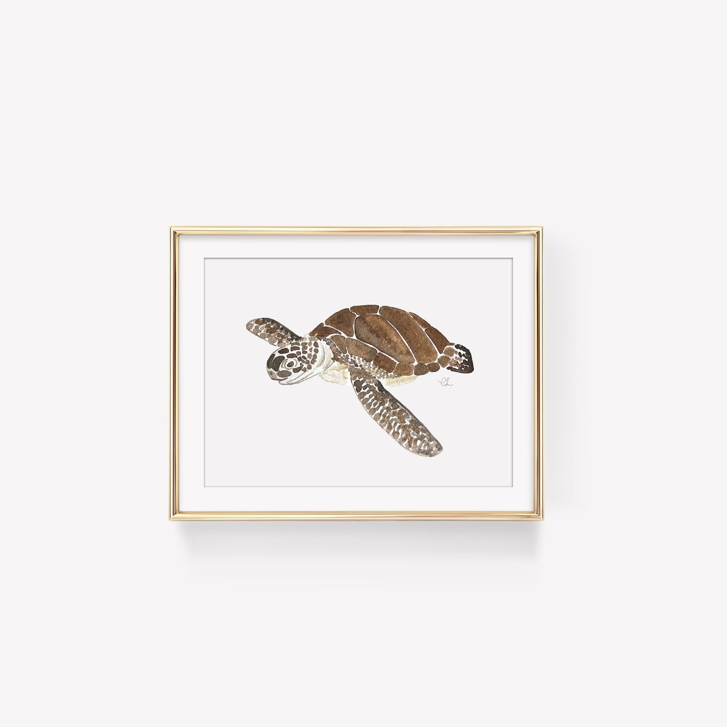 Sea Turtle Art Print