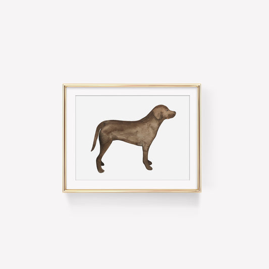 Chocolate Lab Art Print