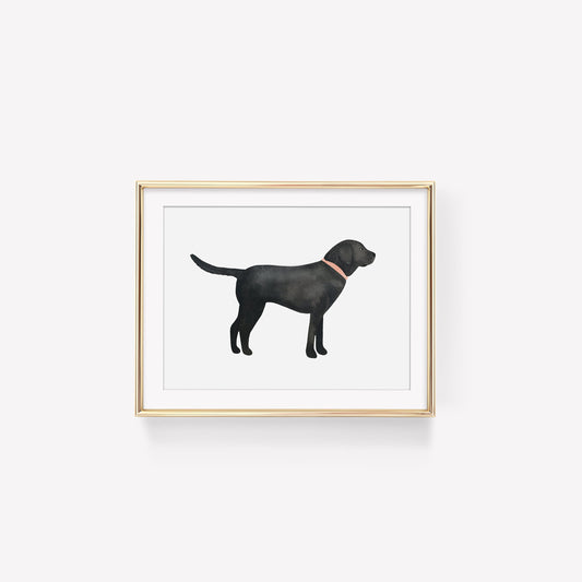 Black Lab Art Print