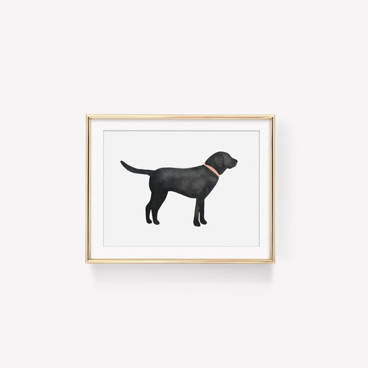 Digital Download Black Labrador Retriever