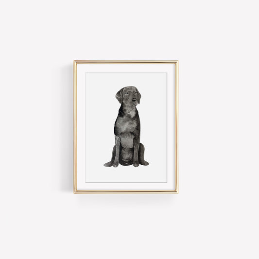 Digital Download Black Labrador Retriever