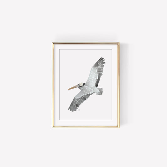 Flying Brown Pelican Art Print