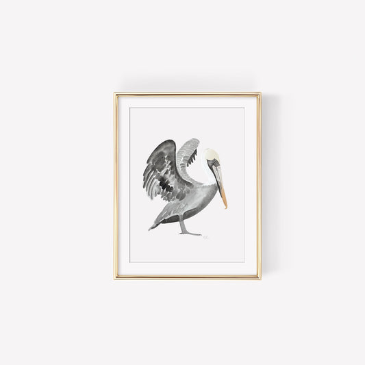 Brown Pelican Art Print