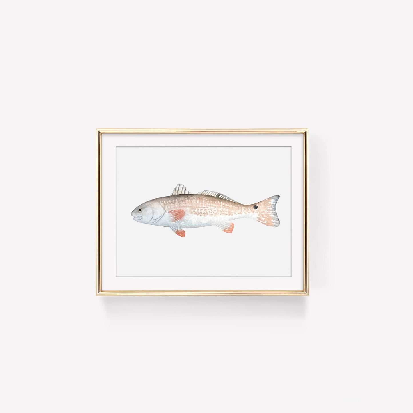 Redfish Art Print