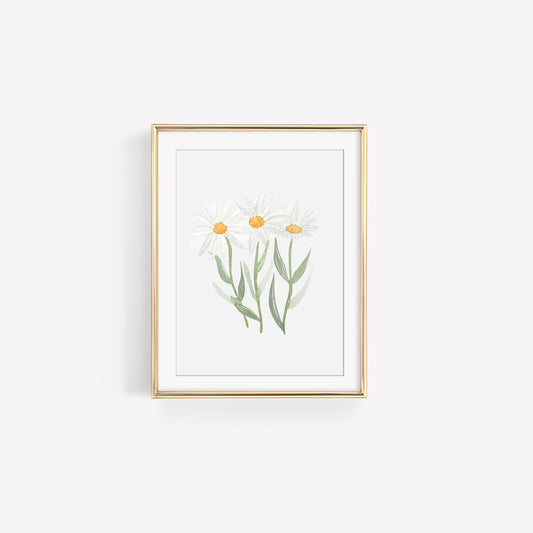 Daisies Art Print