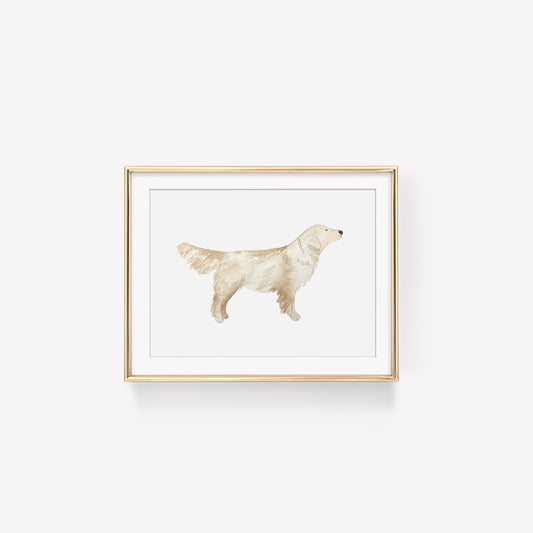 Golden Retriever Art Print