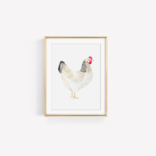 Digital Download White and Brown Chicken Watercolor