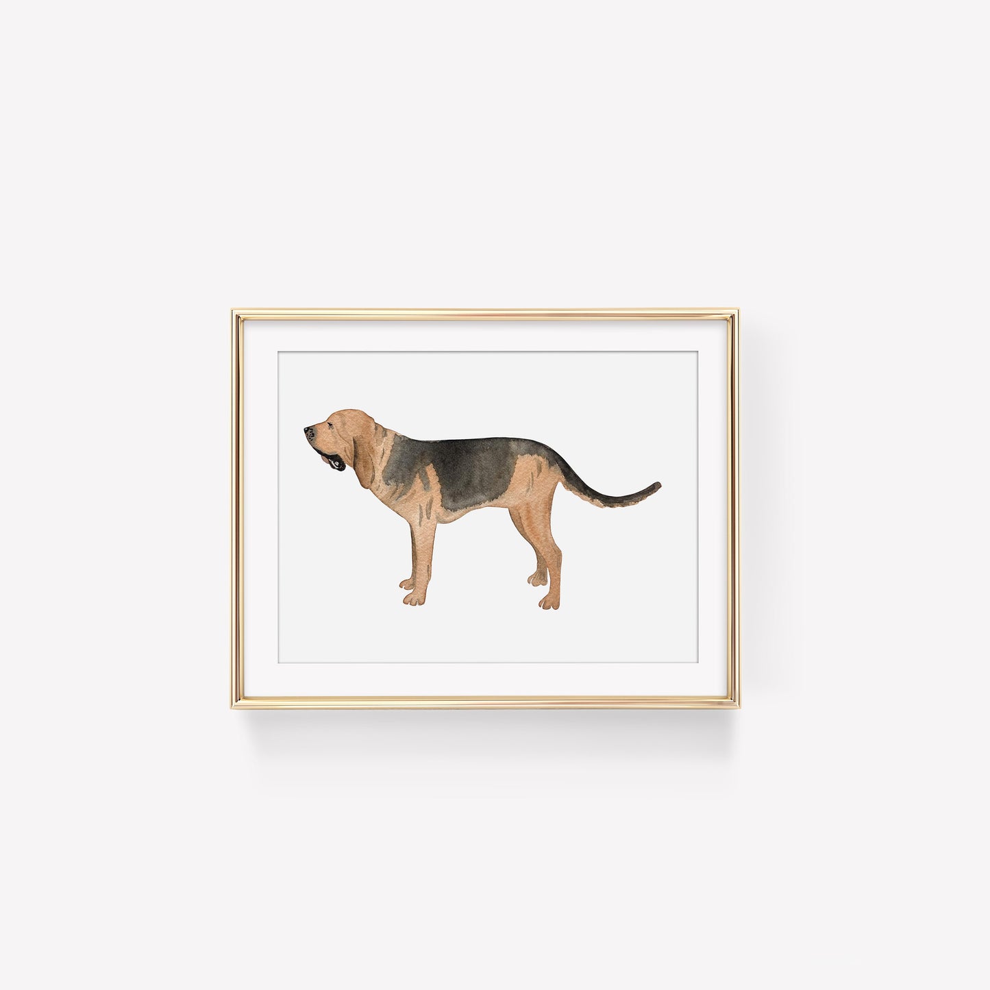 Bloodhound Art Print