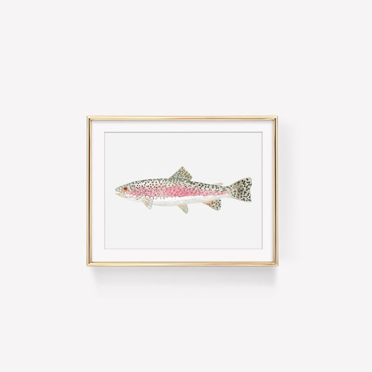 Rainbow Trout Art Print