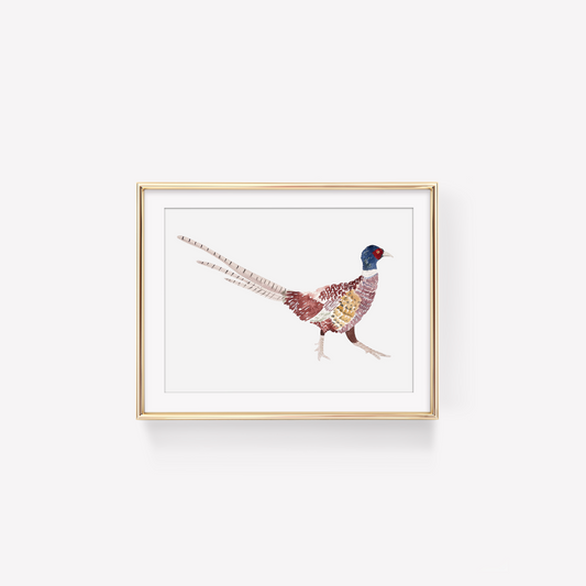 Pheasant Art Print