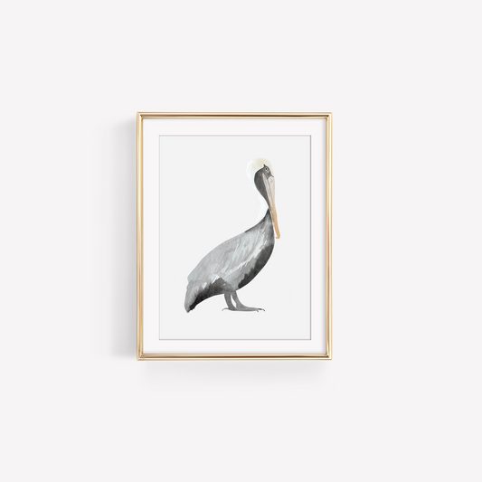 Sitting Brown Pelican Art Print