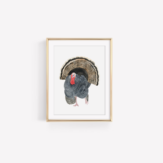 Wild Turkey Art Print