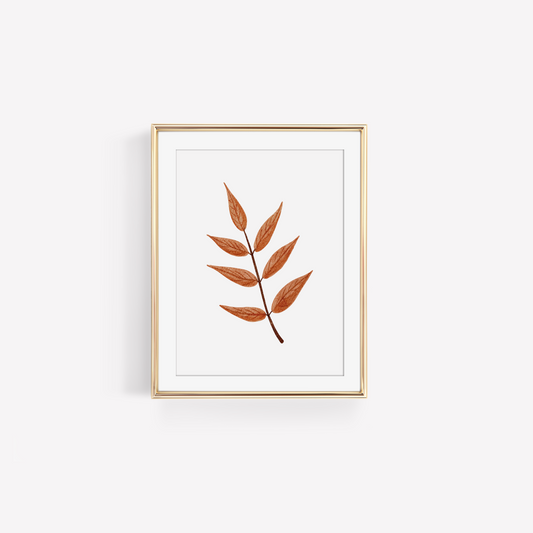 White Ash Leaf Art Print