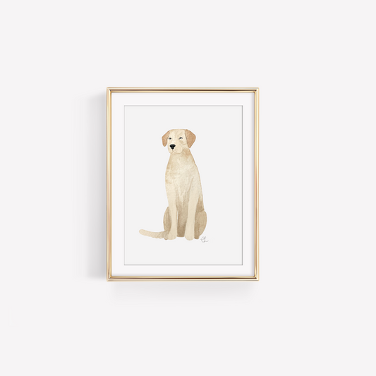 Yellow Lab Art Print